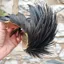 Whiting Exclusive WET Fly Hen Cape in Natural Black